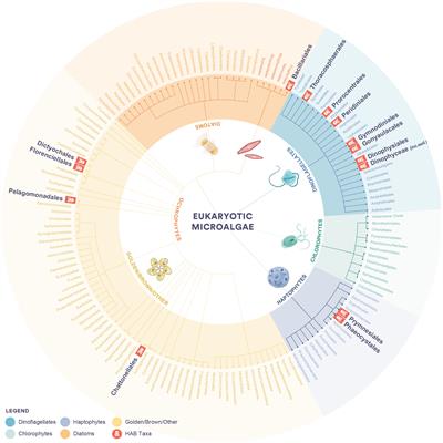 Molecular approaches and challenges for monitoring marine harmful algal blooms in a changing world